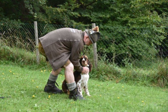 Hundepräsentation 2020